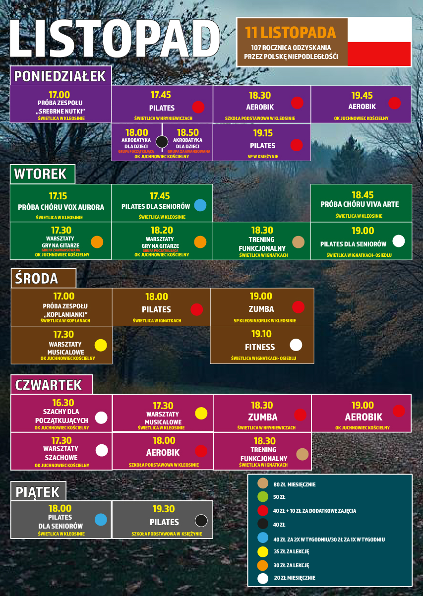 Na zdjęciu plakat listopadowych warsztatów